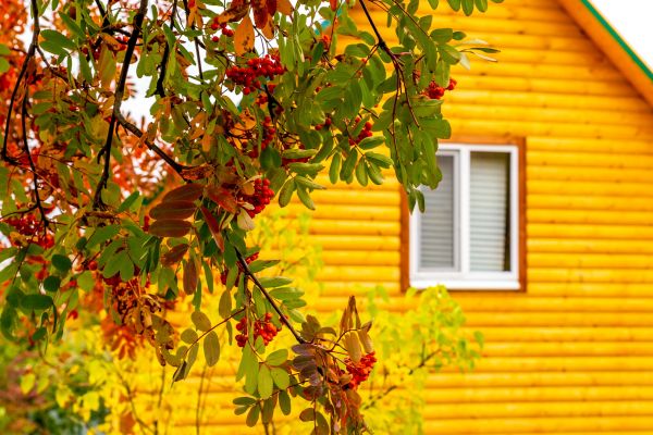 Garden Window Replacement in Dade City